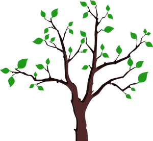 Bare Treewith Spring Leaves PNG image