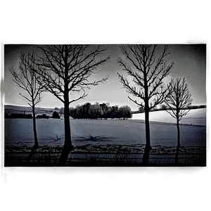 Bare Winter Trees In Field PNG 15