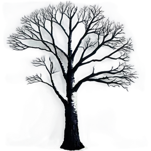 Bare Winter Trees In Field PNG But