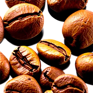 Barista Coffee Beans PNG 06272024