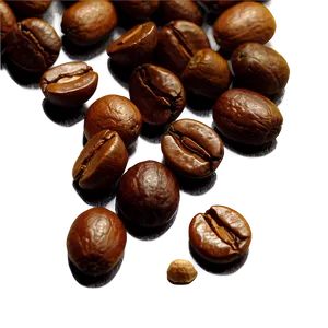 Barista Coffee Beans PNG Pih PNG