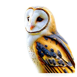 Barn Owl In Golden Hour Png Hue PNG image