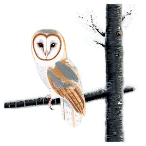 Barn Owl In Winter Setting Png 17 PNG image