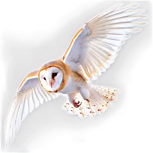 Barn Owl Wings Spread PNG Rom