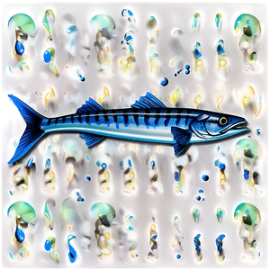 Barracuda D