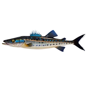 Barracuda Fish Png 64 PNG image