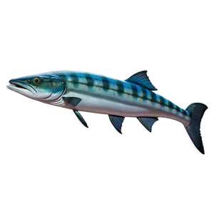 Barracuda Profile Png Irn76 PNG image