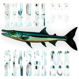 Barracuda Species Png Ppx68 PNG image