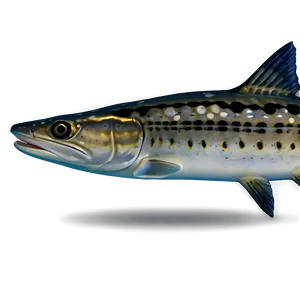 Barracuda Swimming Png 92 PNG image