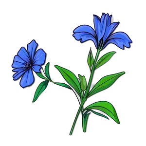Basic Flower Sketch PNG Xgv86