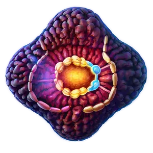 Basic Nucleus Drawing PNG Emn21