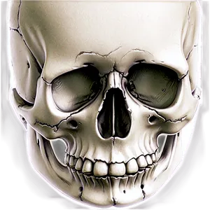 Basic Skull Drawing PNG 06282024 PNG