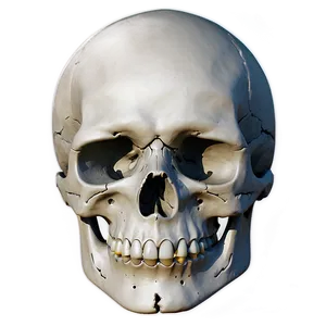 Basic Skull Drawing PNG Yma PNG