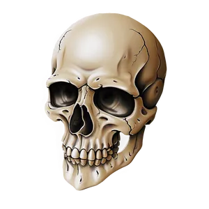 Basic Skull Tattoo PNG 18