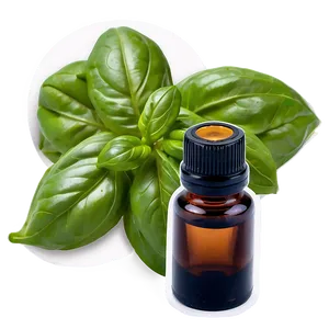 Basil Essential Oil Png Khv5 PNG image