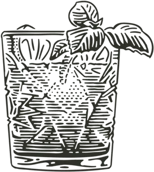 Basil Garnished Drink Sketch PNG image