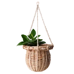 Basket Hanging Plant Png Pye PNG image