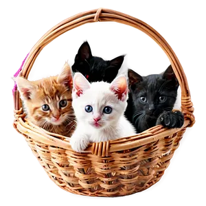 Basket Of Kittens Png 05242024 PNG image