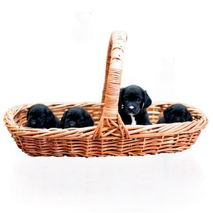 Basket Of Puppies Png 54 PNG image