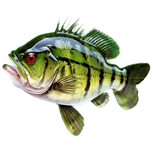 Bass Fishing Secrets Png 27 PNG image