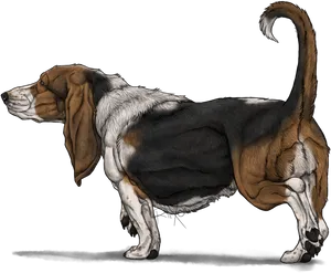 Basset Hound Illustration PNG