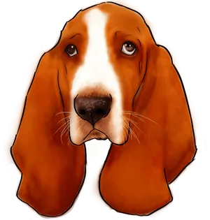 Basset Hound Portrait Illustration PNG
