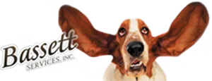 Basset Hound With Floppy Ears PNG image