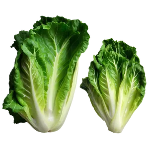 Batavia Lettuce Png Bis98 PNG image