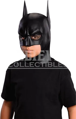 Batman Mask Display Collectible