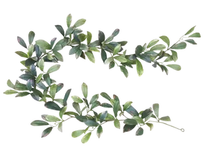 Bayleaf Garlandon Black Background PNG image