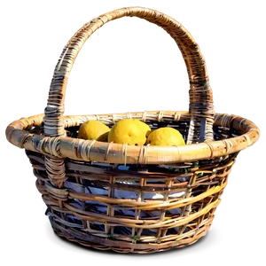 Beach Basket PNG Ein PNG