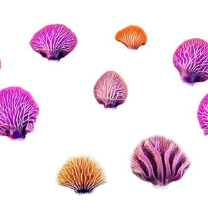 Beach Coral Reefs PNG 06132024 PNG