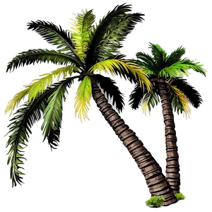Beach Palm Trees PNG 05042024