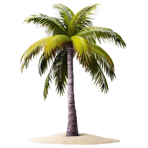 Beach Palm Trees PNG Tvd57