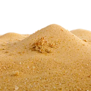 Beach Sand Background PNG 36