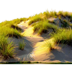 Beach Sand Dunes Png 37 PNG image