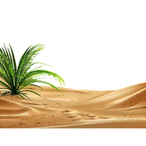 Beach Sand Landscape PNG Eun78