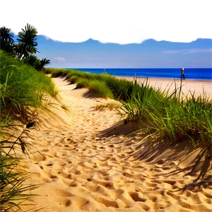Beach Sand Pathway PNG Qnf76