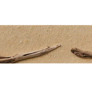 Beach Sand With Driftwood PNG 06292024 PNG