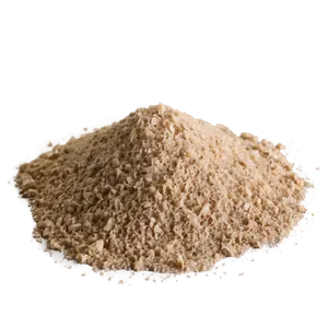 Beach Sand With Fish PNG 06292024