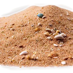 Beach Sand With Fish PNG Led89 PNG