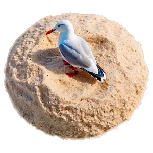 Beach Sand With Seagull PNG Pgv53 PNG
