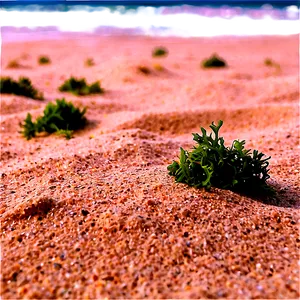 Beach Sand With Seaweed PNG Dtj90 PNG