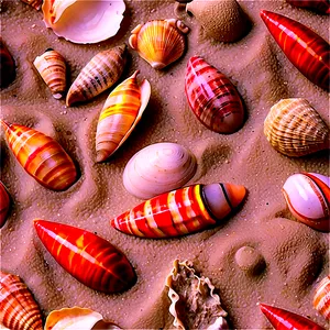 Beach Sand With Shellfish PNG Ovr5 PNG