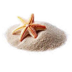 Beach Sand With Starfish PNG Eyo32