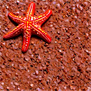 Beach Sand With Starfish PNG Irw