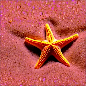 Beach Sand With Starfish PNG Vps72