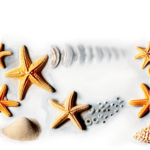 Beach Starfish Sands PNG 06132024