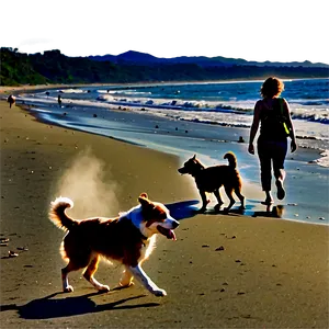 Beachside Dog Walking Png 54 PNG image