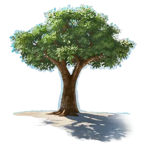 Beachside Tree Shadow PNG 15